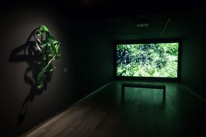 Cos d'aigua Fundación Bancaja